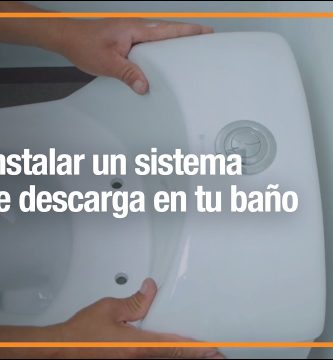 instalación de inodoros de doble descarga